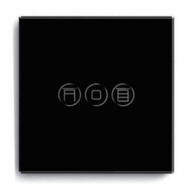 Curtain Switch (up/down)