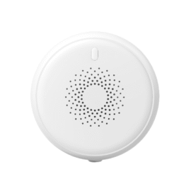 Gas Sensor